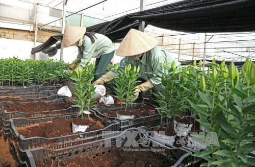 Nhiều doanh nghiệp cố tình không nộp bảo hiểm cho người lao động